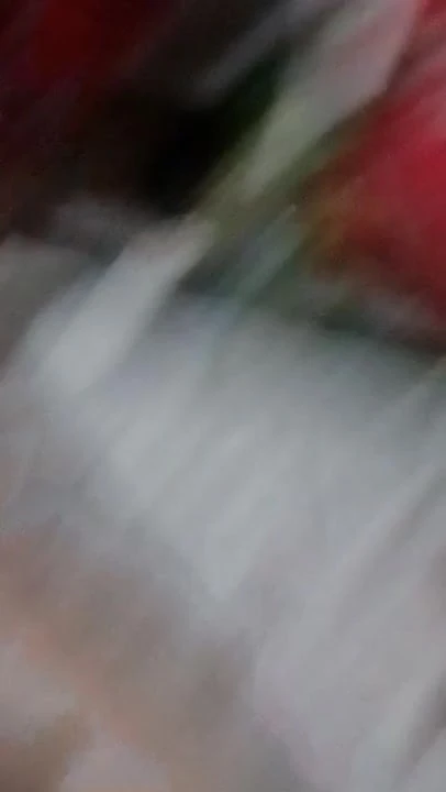 Pene de Edgar Giovanni Caa
