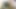 Komşumun yarağını emiyor ve şipiş yapıyoruz - İspanyolca porno