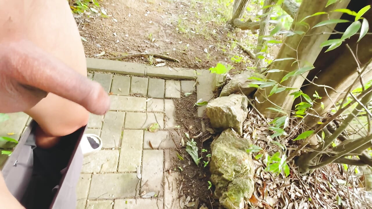 Asian twink riskily flashes his foreskin penis in a public park