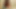 Busty üvey alır kontrol ve yapar dik üvey kız yalamak