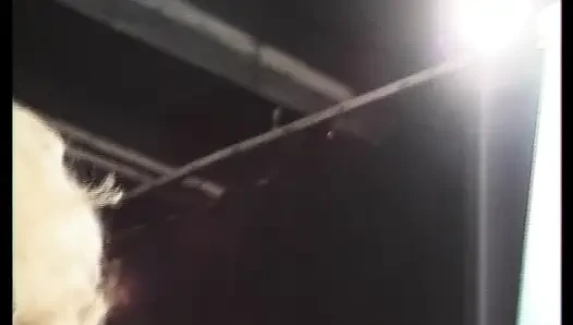 Almanya'dan iki çarpıcı bayan yarağını memnun etmek için burada