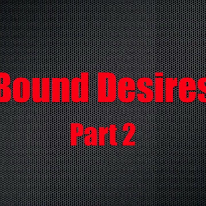 Bound Desires - Chapter 2