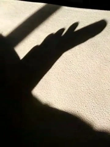 Playing shadow
