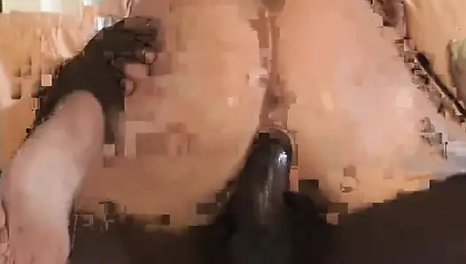 Pantat pelacur jalang ini dientot habis-habisan sama cowok kulit hitam kontol besar