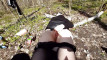 Pratinjau video