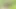 Girl pissing In Jungle & Big Boobs And Pussy Massage