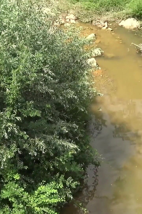 Amandine Is a Big Naughty Girl Who Loves Big Cocks