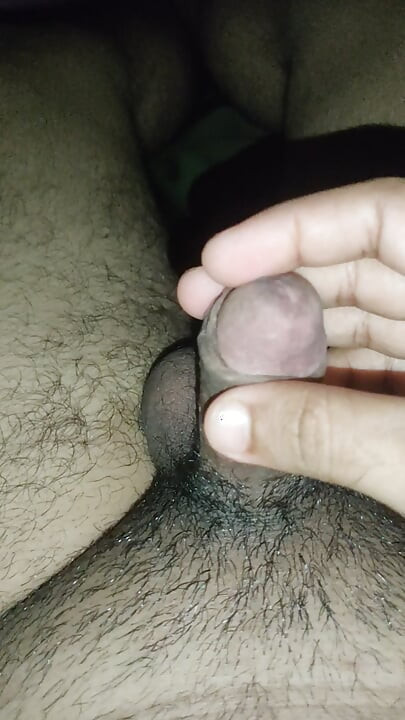 সিসি ফ্যানবয়