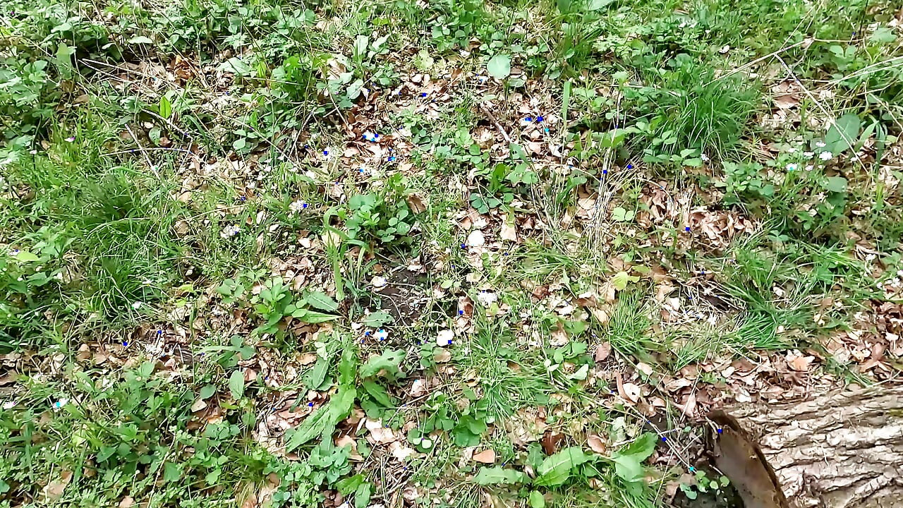 Sheath and breasts in the woods