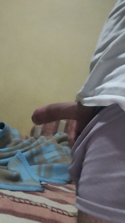 dick Algerian 22cm