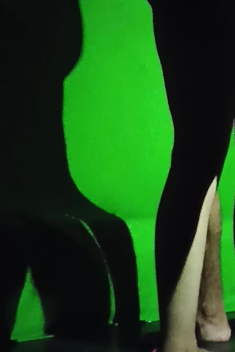 video village bhabhi hot video jija sali fucking video indian bhabhi milk sucking video hot bhabhi fucking video