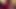 MYSLUTWIFEGOESBLACK real wife interracial cucold with BBC