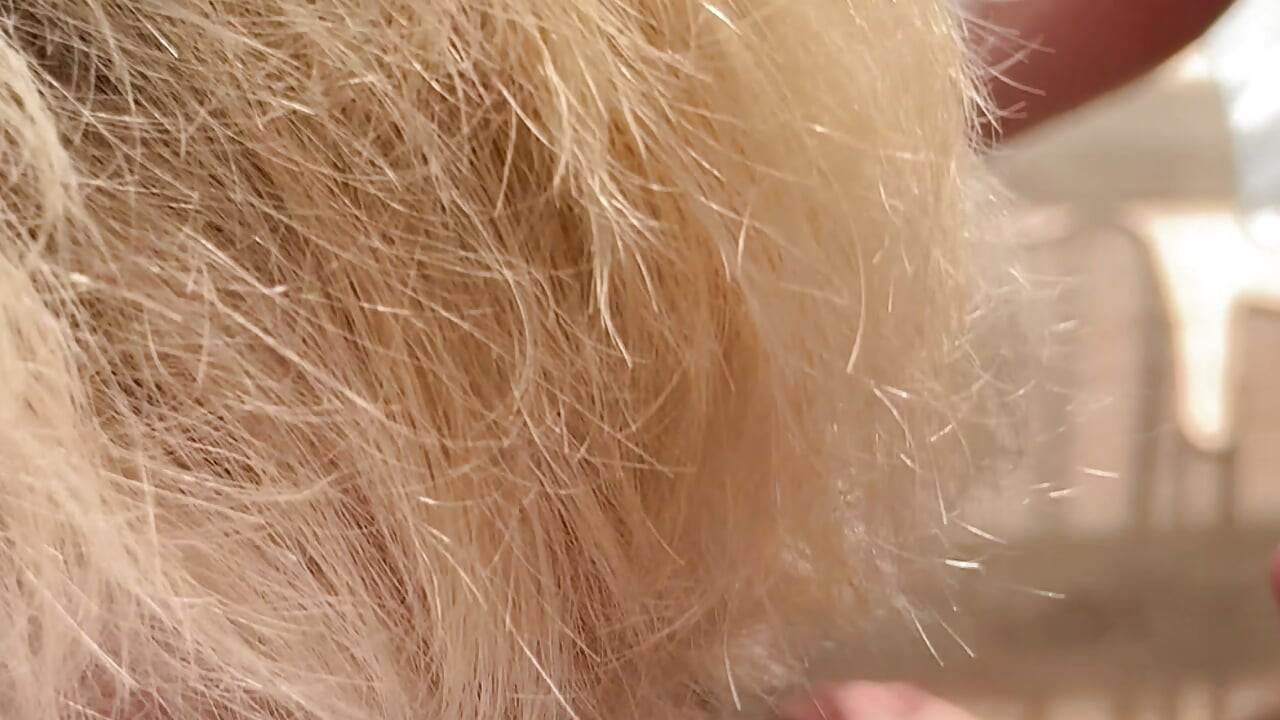 Three guys with big cocks fuck cute twink's tight asshole