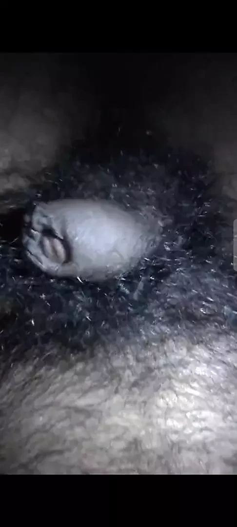 My dick is hungry for pussy