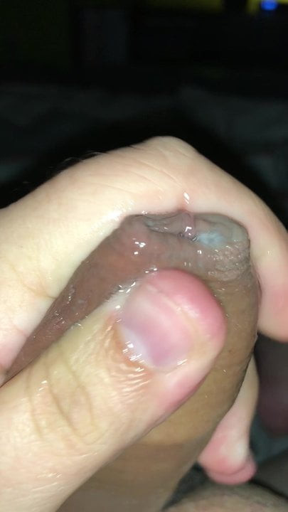 Chubby bear fapping