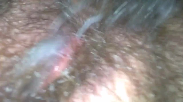 Peluda