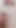 Daisy Fox ve Sahara Skye ve Chanel Camryn ve Maria Anjel ve Reyna Delacruz ve Bailey Base