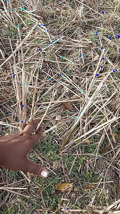 Bhabhi Gay Boy Outdoor Masterbate Pussy Hole