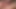 Alex Disney Sucking Camilo Brown's Big Cock and Eating His Ass Until He Has an Intense Cumshot