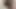 Cum shot comp