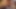 Cock sucking face slapping and cum shooting