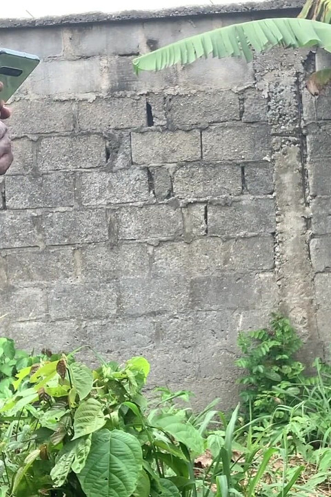 Hala domaltarak açık havada zenci adamla sikişiyorum