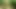 I walk naked in the woods hoping that some stranger will see me
