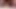 I suck dick with the desire to swallow the cum I crave