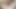 大学時代の小柄な女の子を追いかけてる
