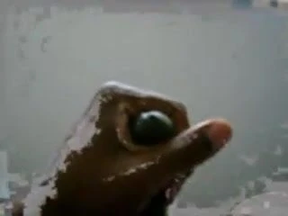 cuming
