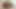 Anal Video + Dildo. 21 Dakika