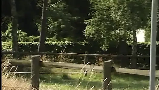 Busty redhead teen lifting dress outdoors