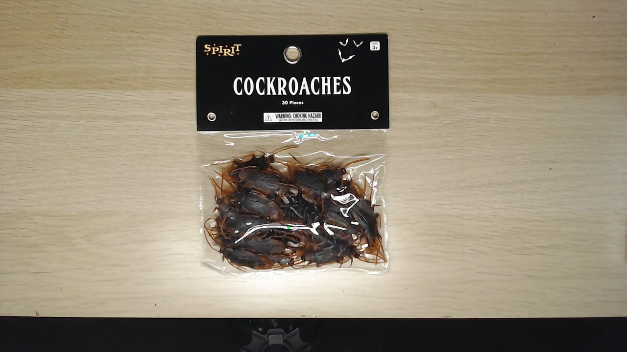 Ahh! Fake Cockroach Stomp