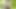 Jerking Off Outdoors in the Woods and Cumming - Anguish Gush
