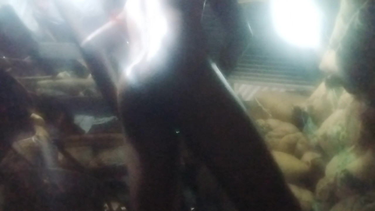 Indiana mostrando a bunda e tentando se auto urso garrafa fodendo