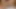 Beautiful pornstar getting passionately fucked creampie