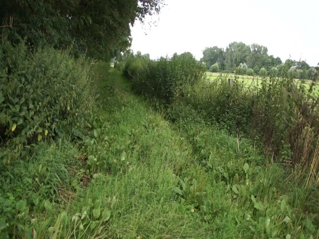 A little walk in the summer sun