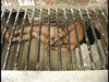 Pratinjau video