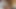 リードにつながれながら、ビッチは主人に深くよだれを垂らすフェラチオを施しました