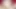 Trans girl enjoys her new thrusting BBC Dildo