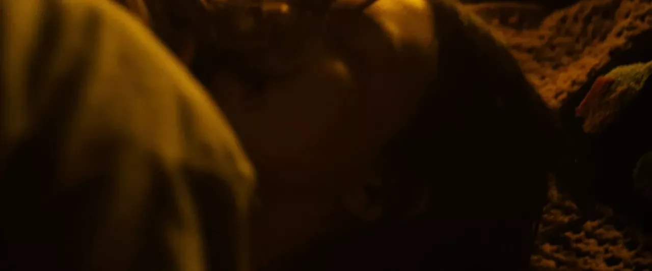 Hannah Murray - ''查理说''