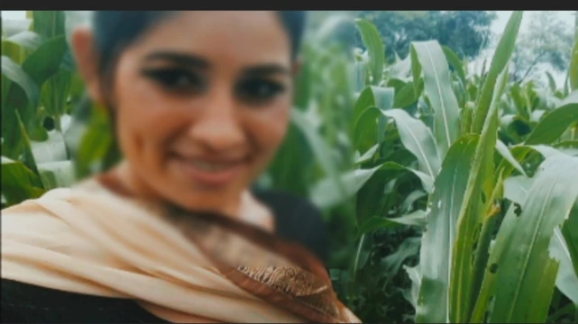 My sister-in-law became a mare in the field of maize
