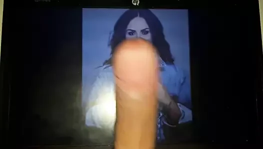 Demi lovato için Wanktribute