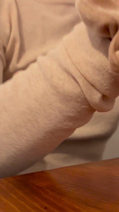 Having Pizza in a sheer blouse in public  in a restaurant exposing my big nipples | Clip 1