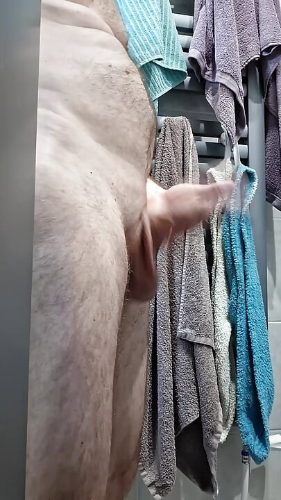 Kamar mandi ereksi