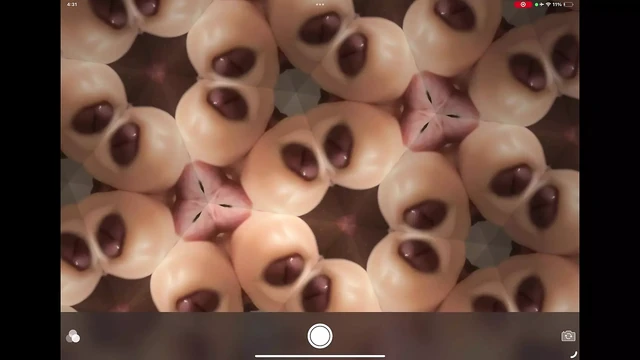 Inverted Kaleidocum