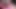 Cewek sange ini lagi asik fingering memeknya pakai vibrator sampai muncrat