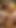 Lara Croft Amazon hazinesini keşfediyor ve altın mağaralarda güzel sarışın ata ruhunu kucaklıyor | Klip 1