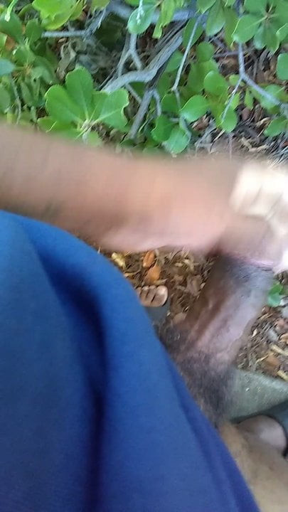 Playing outside