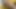 Cewek semok latina dengan toket besar lagi asik ngentot kontol besar pria kulit putih - pov di ruangan casting model amatir
